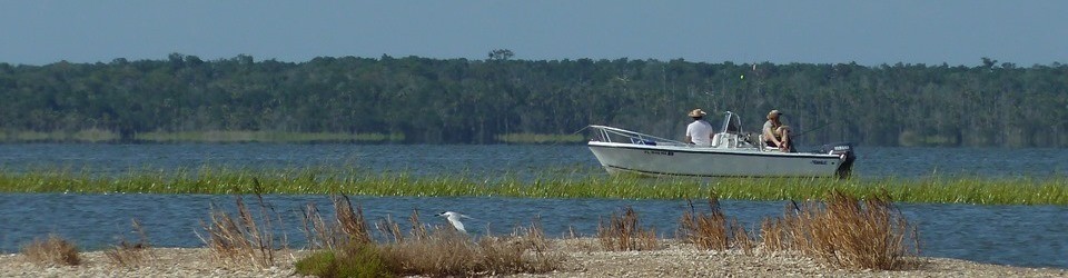 Red Drum Fishery Data Synthesis